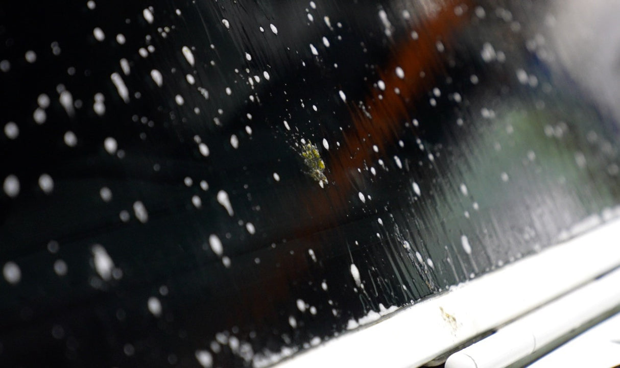 bugs on windshield